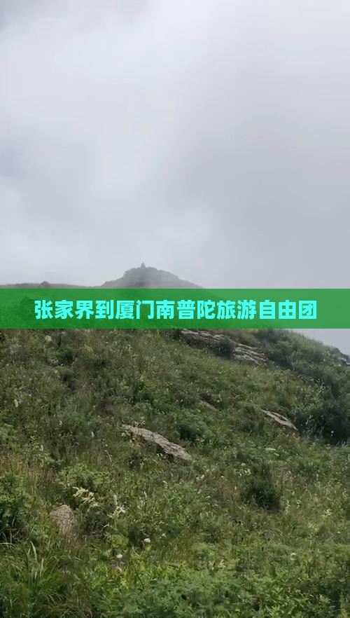 张家界到厦门南普陀旅游自由团