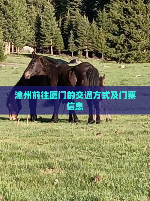 漳州前往厦门的交通方式及门票信息