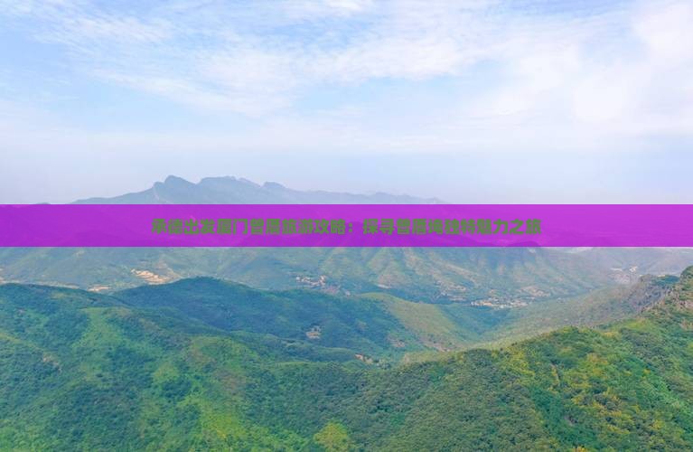承德出发厦门曾厝旅游攻略：探寻曾厝埯独特魅力之旅
