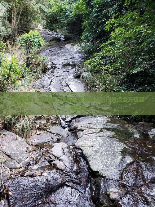 长治出发：畅游厦门南普陀寺及附近热门景点全方位旅游攻略
