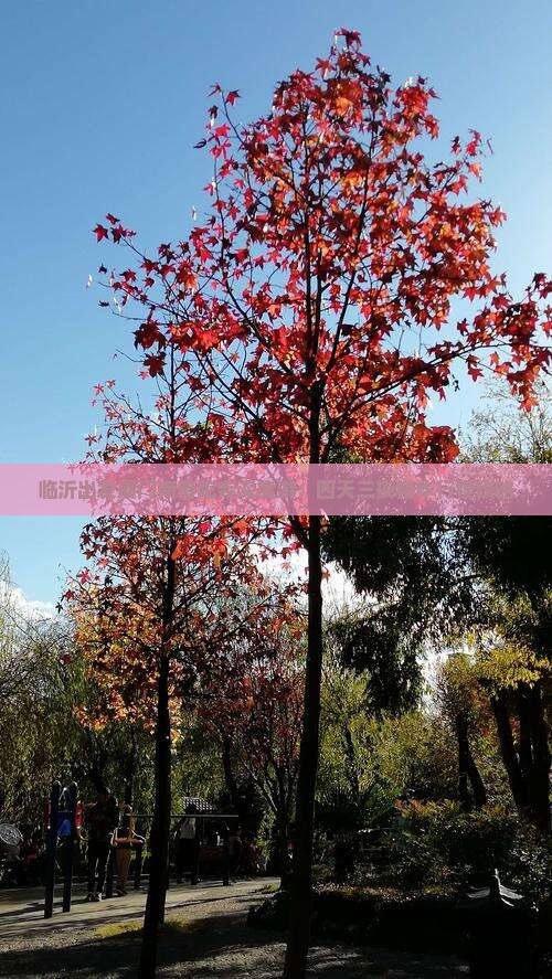 临沂出发厦门南普陀寺深度游：四天三夜精华行程攻略