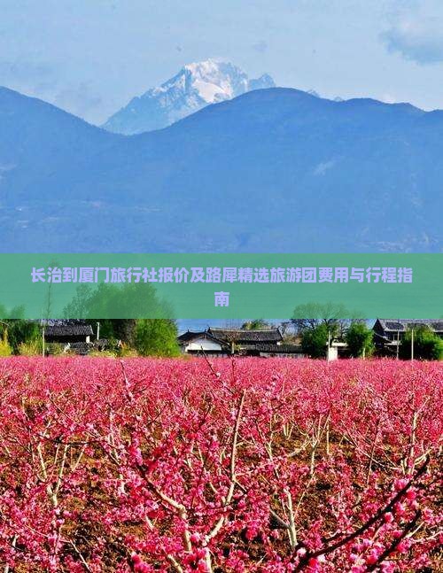 长治到厦门旅行社报价及路犀精选旅游团费用与行程指南