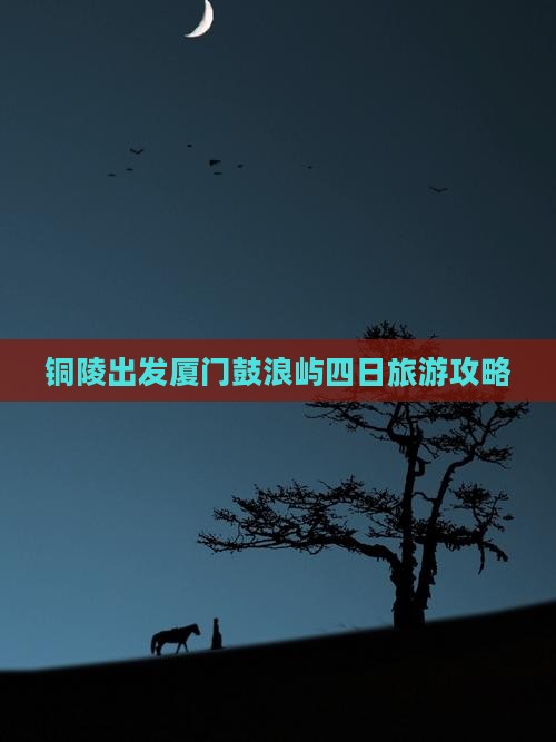 铜陵出发厦门鼓浪屿四日旅游攻略