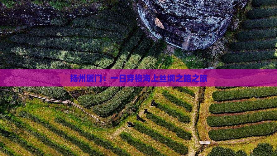 扬州厦门：一日穿梭海上丝绸之路之旅