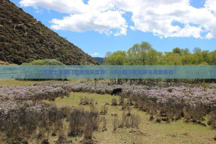 滨州出发厦门曾厝埯深度游：4天3晚行程攻略与美食体验