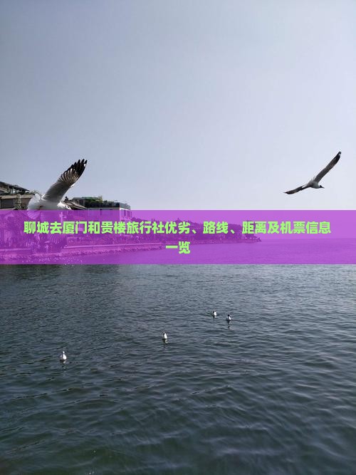 聊城去厦门和贵楼旅行社优劣、路线、距离及机票信息一览