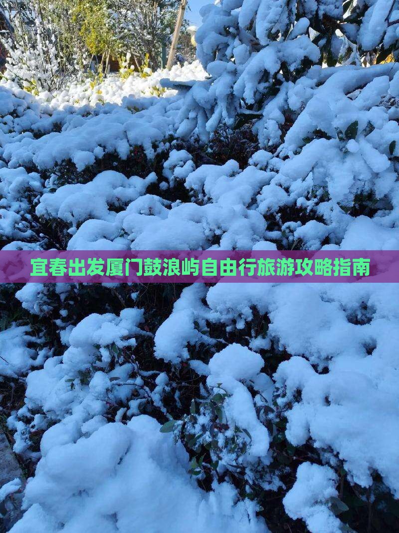 宜春出发厦门鼓浪屿自由行旅游攻略指南