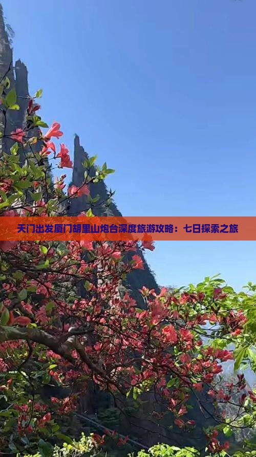 天门出发厦门胡里山炮台深度旅游攻略：七日探索之旅