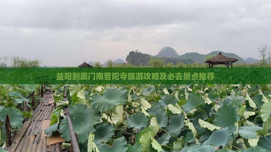 益阳到厦门南普陀寺旅游攻略及必去景点推荐