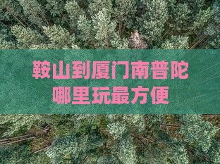 鞍山到厦门南普陀哪里玩最方便