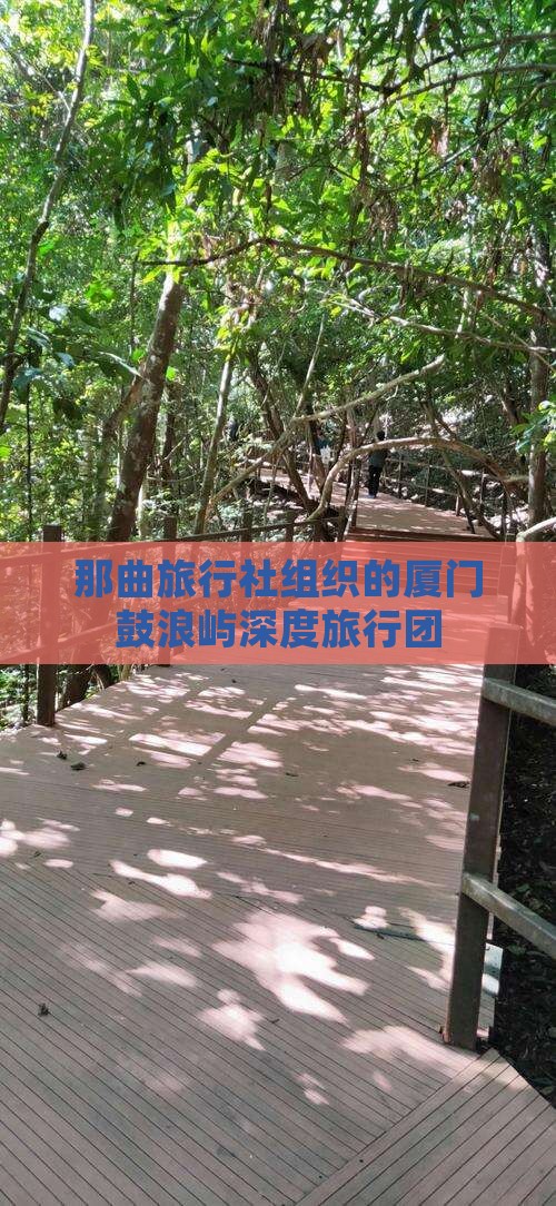 那曲旅行社组织的厦门鼓浪屿深度旅行团
