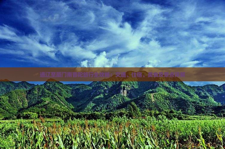 通辽至厦门南普陀旅行全攻略：交通、住宿、美食及景点详解