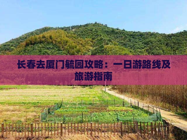 长春去厦门毓园攻略：一日游路线及旅游指南