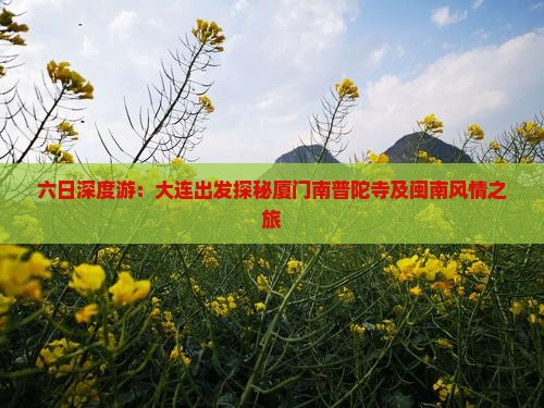 六日深度游：大连出发探秘厦门南普陀寺及闽南风情之旅