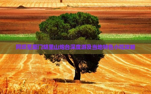 阿坝至厦门胡里山炮台深度游及当地特色小吃攻略