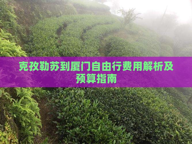 克孜勒苏到厦门自由行费用解析及预算指南