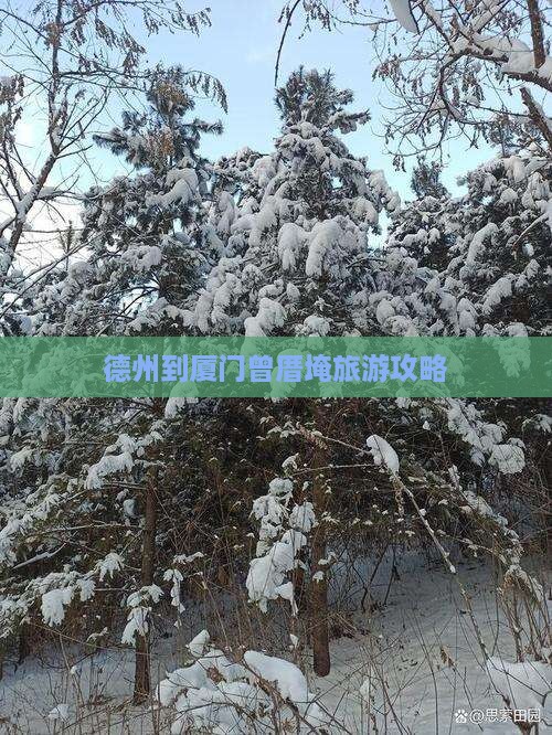 德州到厦门曾厝埯旅游攻略