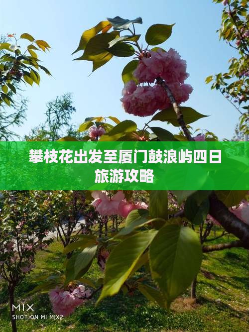 攀枝花出发至厦门鼓浪屿四日旅游攻略