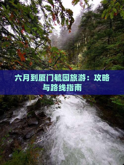 六月到厦门毓园旅游：攻略与路线指南