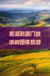 芜湖到厦门鼓浪屿团体旅游攻略：行程安排、景点推荐与实用tips