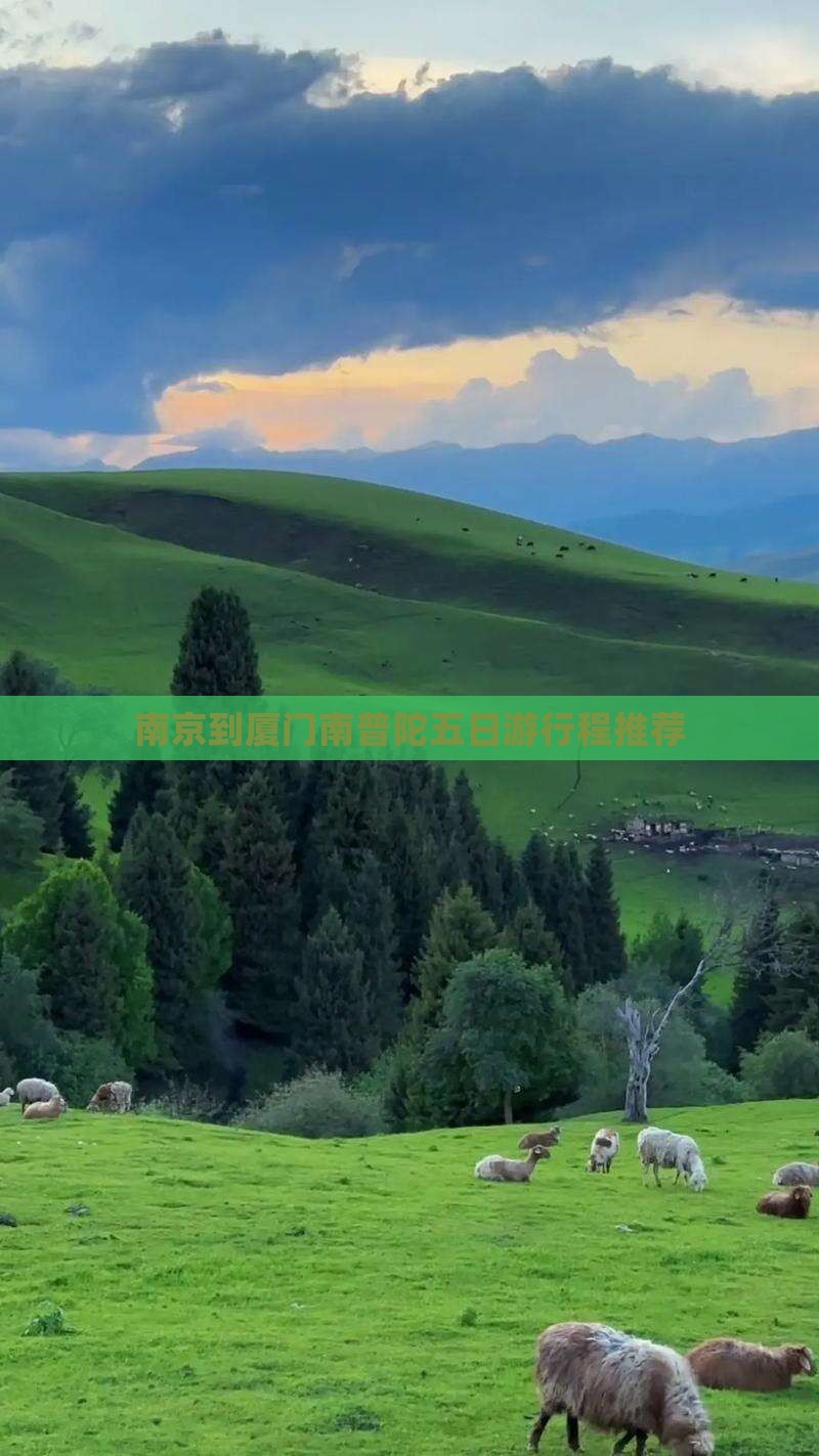 南京到厦门南普陀五日游行程推荐