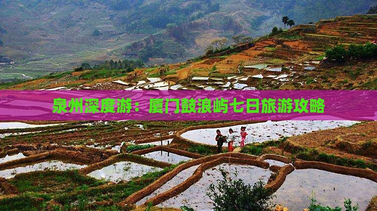 泉州深度游：厦门鼓浪屿七日旅游攻略