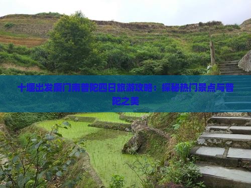 十堰出发厦门南普陀四日旅游攻略：探秘热门景点与普陀之美