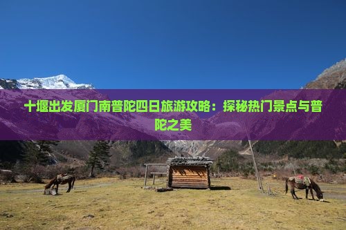 十堰出发厦门南普陀四日旅游攻略：探秘热门景点与普陀之美