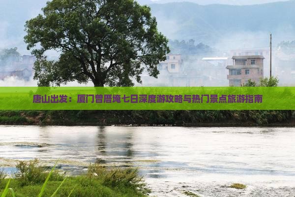 唐山出发：厦门曾厝埯七日深度游攻略与热门景点旅游指南