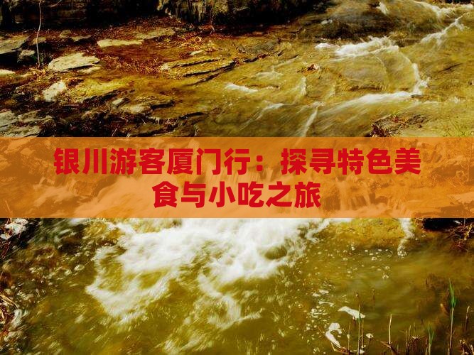 银川游客厦门行：探寻特色美食与小吃之旅