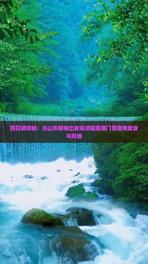 四日游攻略：从山东聊城出发探访福建厦门曾厝埯美食与风情