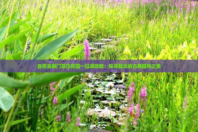 自贡去厦门菽庄花园一日游攻略：探寻鼓浪屿古典园林之美