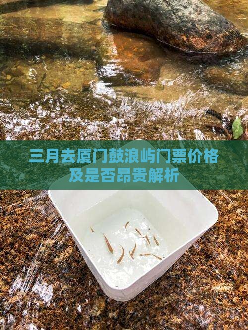 三月去厦门鼓浪屿门票价格及是否昂贵解析