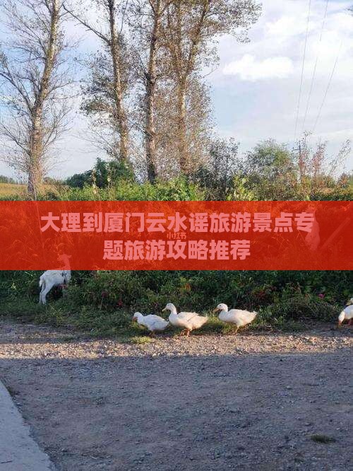 大理到厦门云水谣旅游景点专题旅游攻略推荐