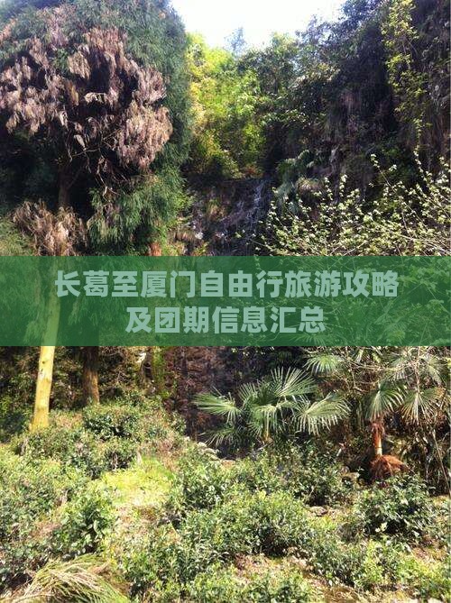 长葛至厦门自由行旅游攻略及团期信息汇总