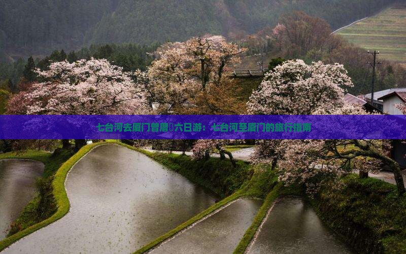 七台河去厦门曾厝垵六日游：七台河至厦门的旅行指南