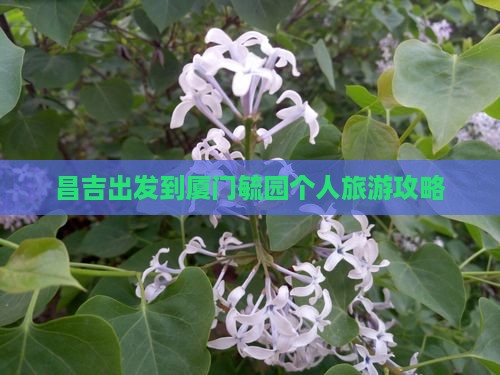 昌吉出发到厦门毓园个人旅游攻略