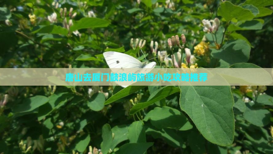 唐山去厦门鼓浪屿旅游小吃攻略推荐