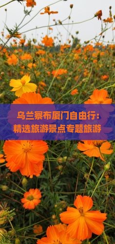 乌兰察布厦门自由行：精选旅游景点专题旅游攻略