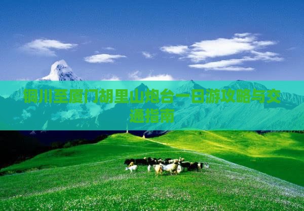 铜川至厦门胡里山炮台一日游攻略与交通指南
