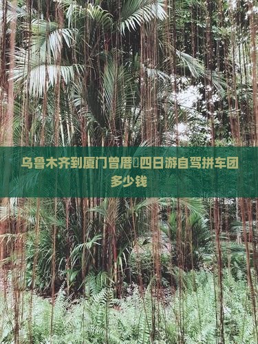 乌鲁木齐到厦门曾厝垵四日游自驾拼车团多少钱
