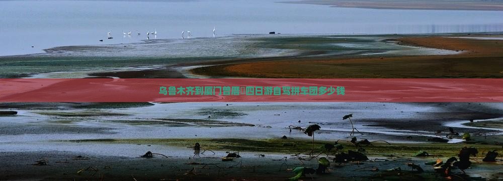 乌鲁木齐到厦门曾厝垵四日游自驾拼车团多少钱