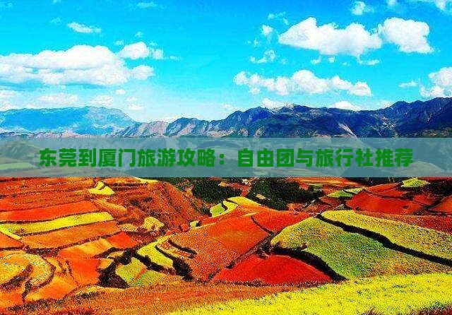 东莞到厦门旅游攻略：自由团与旅行社推荐