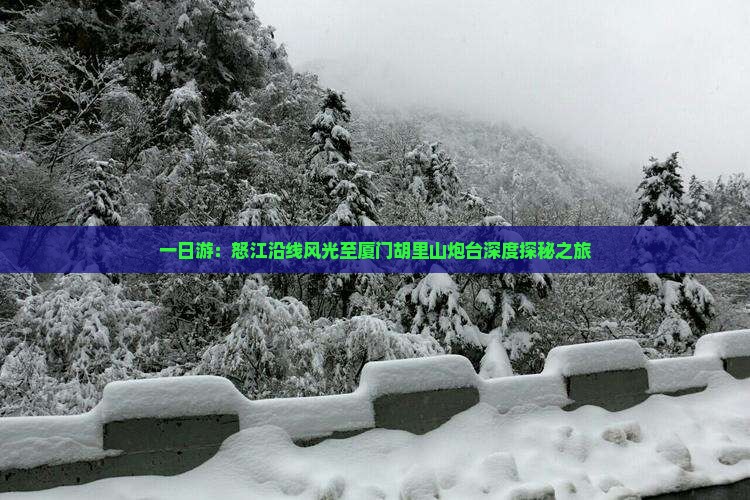 一日游：怒江沿线风光至厦门胡里山炮台深度探秘之旅