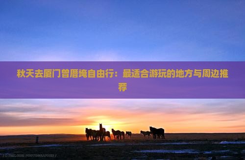 秋天去厦门曾厝埯自由行：最适合游玩的地方与周边推荐