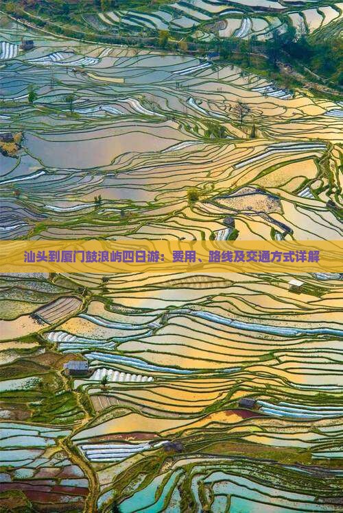 汕头到厦门鼓浪屿四日游：费用、路线及交通方式详解