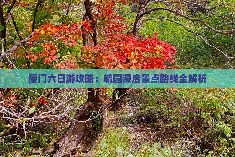 厦门六日游攻略：毓园深度景点路线全解析