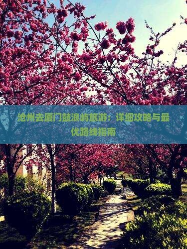 沧州去厦门鼓浪屿旅游：详细攻略与最优路线指南