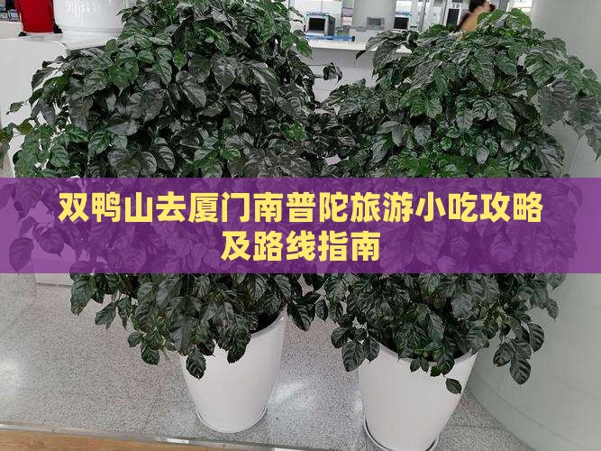 双鸭山去厦门南普陀旅游小吃攻略及路线指南