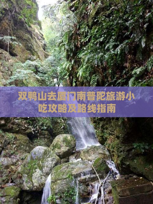 双鸭山去厦门南普陀旅游小吃攻略及路线指南